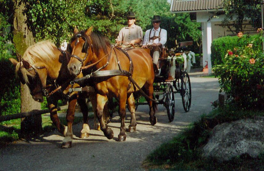 Gasthof Tell Paternion Esterno foto